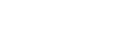 Reform Digital 2